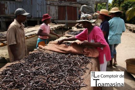 Conservation of your batch of vanilla pods from 3 origins, Madagascar, Tahiti and Papua